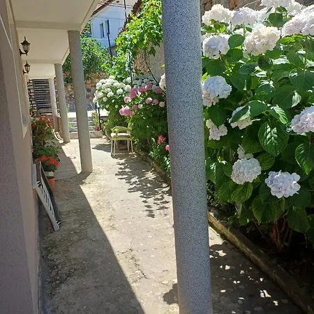 Stavri Konukevi 3*